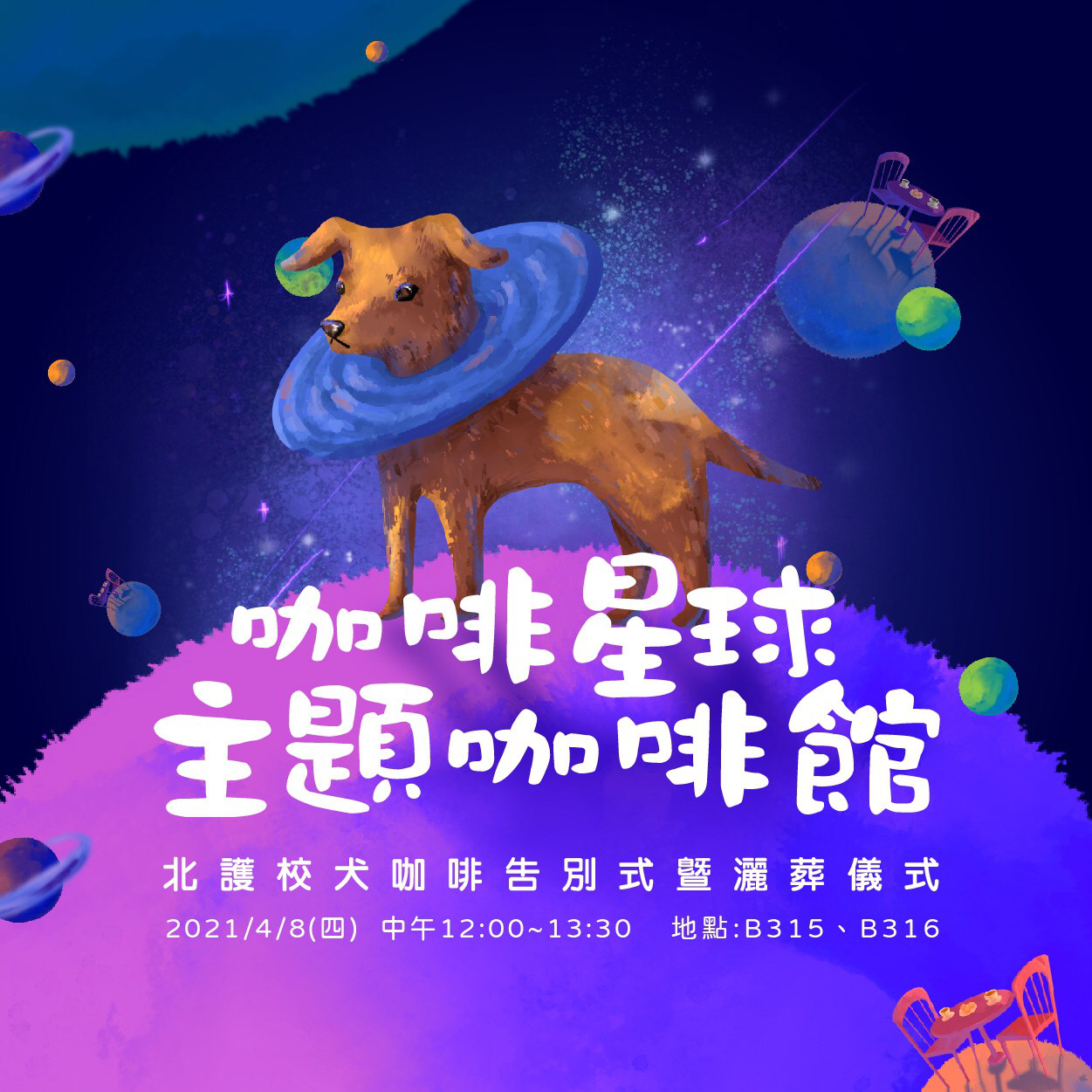 北護校犬